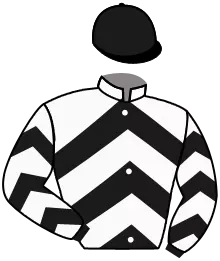 Casaque n°4