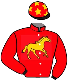 Casaque n°6