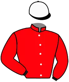 Casaque n°2