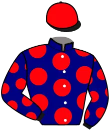 Casaque n°7