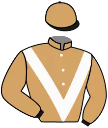 Casaque n°6
