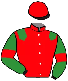 Casaque n°3