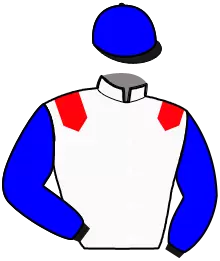 Casaque n°10