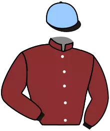 Casaque n°6