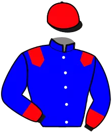 Casaque n°4