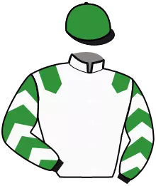 Casaque n°11