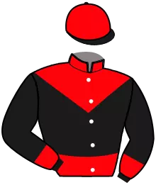 Casaque n°2
