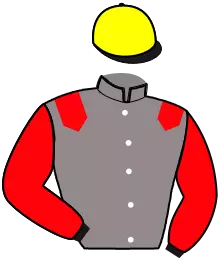 Casaque n°11