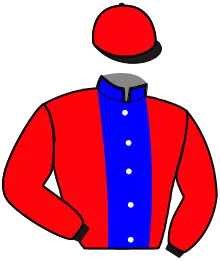Casaque n°4
