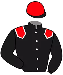 Casaque n°10