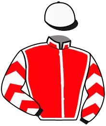 Casaque n°13