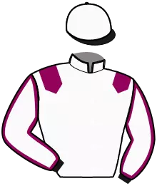 Casaque n°3