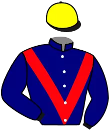 Casaque n°3