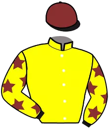 Casaque n°3