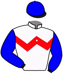 Casaque n°9