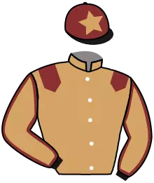 Casaque n°9