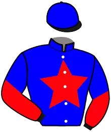 Casaque n°2
