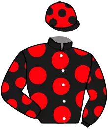 Casaque n°9