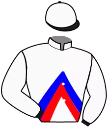 Casaque n°10