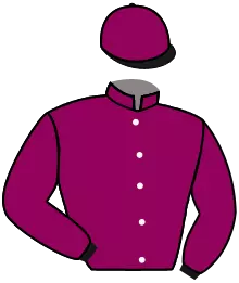 Casaque n°3