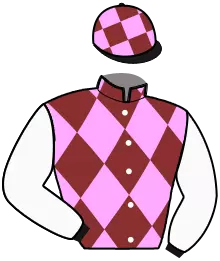 Casaque n°13