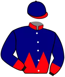 Casaque n°13