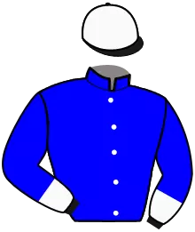Casaque n°8