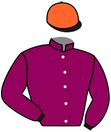 Casaque n°3