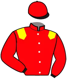 Casaque n°10