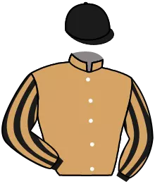 Casaque n°10