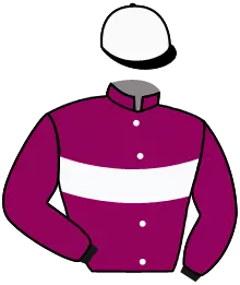 Casaque n°2