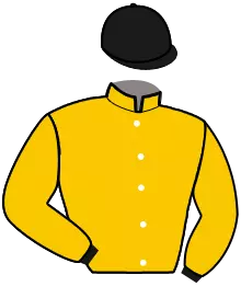 Casaque n°12