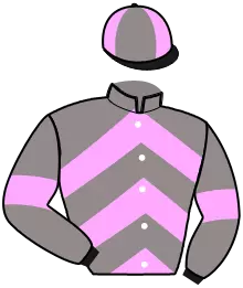 Casaque n°2
