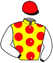 Casaque n°16