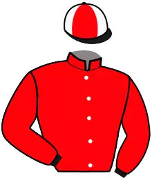 Casaque n°14