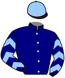 Casaque n°2