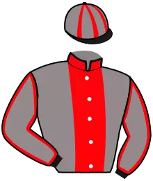 Casaque n°10