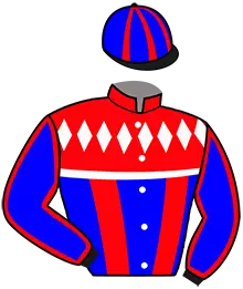 Casaque n°5