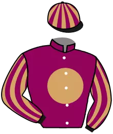 Casaque n°13