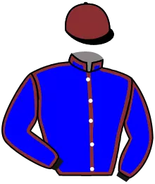Casaque n°8