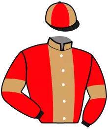 Casaque n°16
