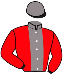 Casaque n°6