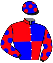 Casaque n°8