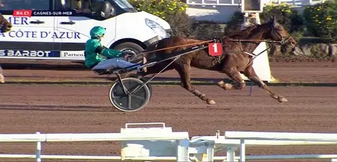 PRIX ELAINE RODNEY - CAGNES-SUR-MER - 02/01/2024 : partants