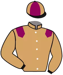 Casaque n°8