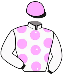 Casaque n°3