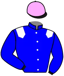 Casaque n°11