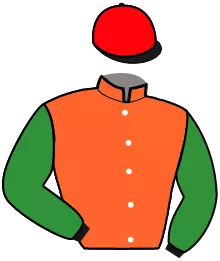 Casaque n°11