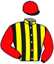 Casaque n°11
