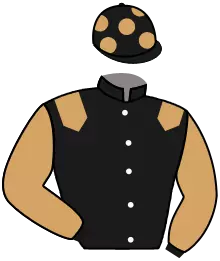 Casaque n°11